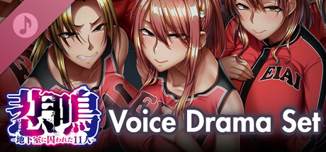 [ADV/STEAM官中][POISON MOTION]悲鸣 -地下室囚禁的 11 人 悲鳴/Scream/尖叫声[+存档][PC/4.6G]