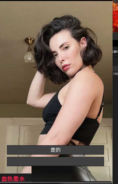 妻子的电话AWife'sPhone v0.6.7Revamp PC+安卓中文版