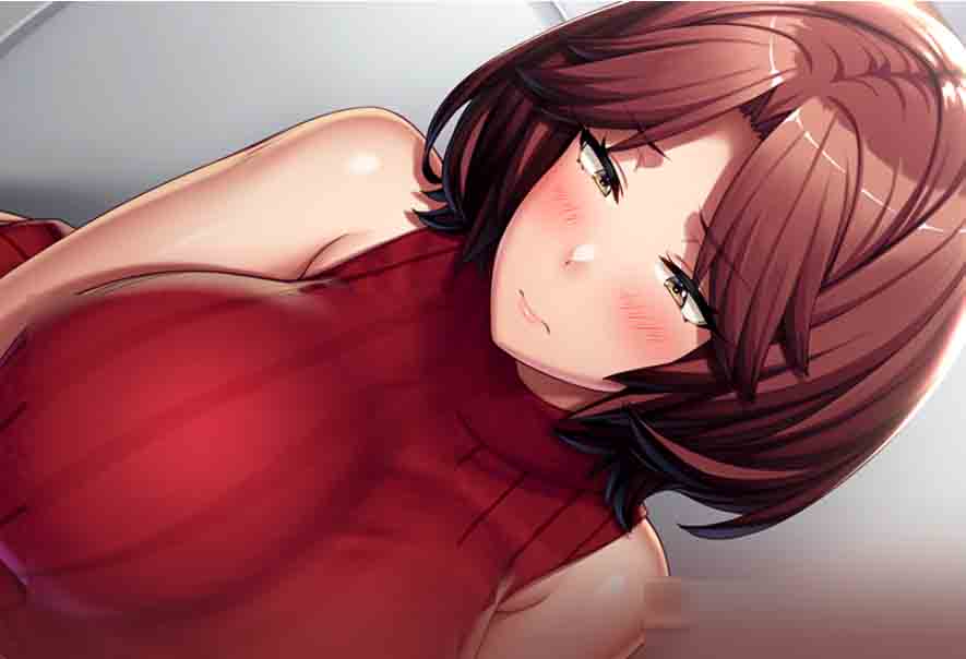 完全堕落X兄嫂都是你的错！完堕ちX兄嫁 アンタのせいよ！汉化版