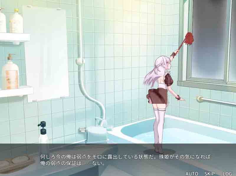 主人，接下来请允许我进行复仇 v4 汉化版