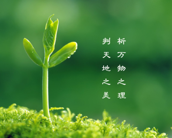 网络信息安全工程师，湖人利夫斯