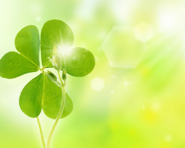 胃痛反酸舌苔白厚怎么办