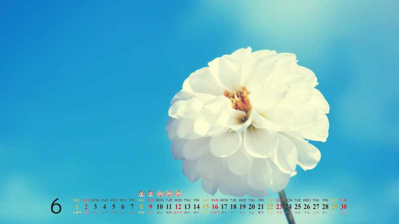 怎么自学办公软件应用