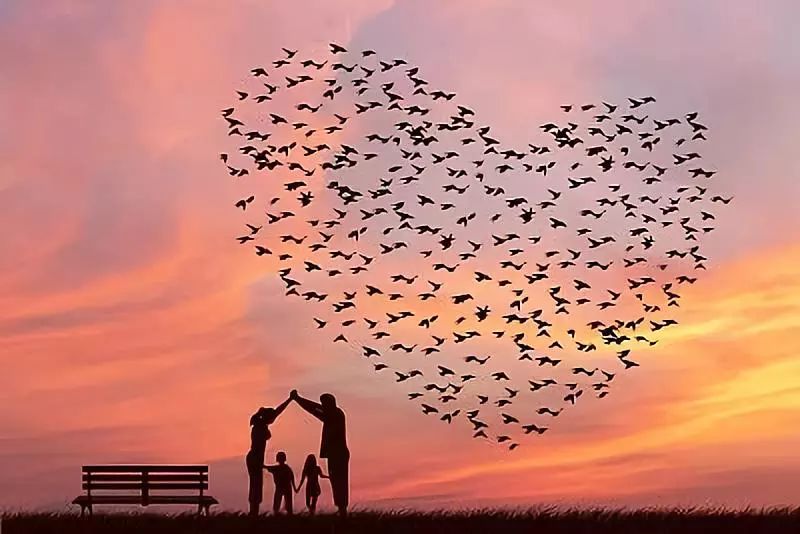 办公软件从入门到精通网盘，布尔类编程基础知识