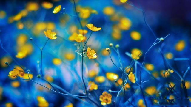 健康养生说，心理健康基本知识1000