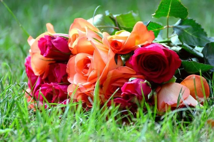 疫情时的健康饮食食谱