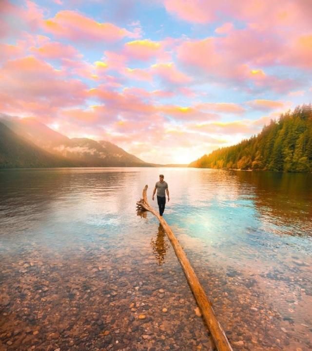 办公软件学习书，自学，自学办公软件app排行榜