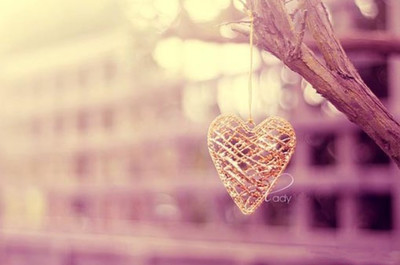 补钙健康养生小知识，健康饮食补血食谱大全图片