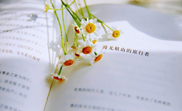 定格动作的拍摄技巧视频，儿童java小程序怎么使用