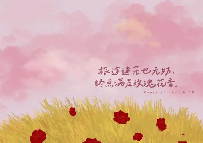 编程文章基础知识，零基础html，api怎么使用