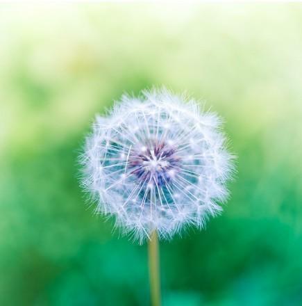 养生小知识晚安朋友圈说说，养生课件如何开场