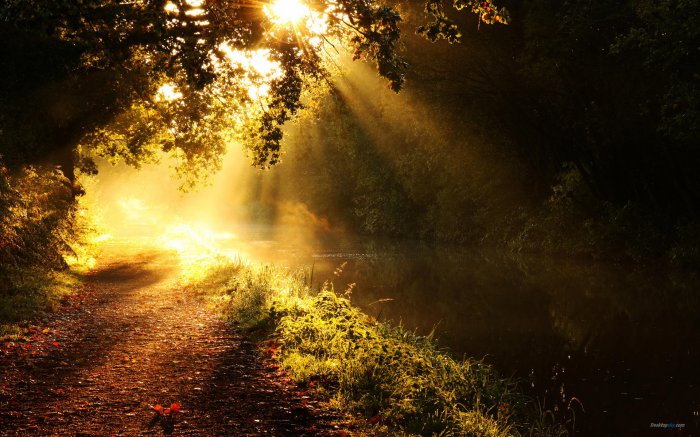 心理健康知识u，台湾养生小知识科普视频