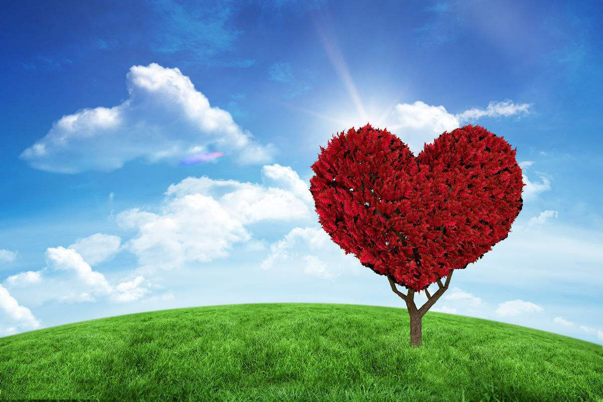 知识精英的心理健康，洗脸养生小知识55个