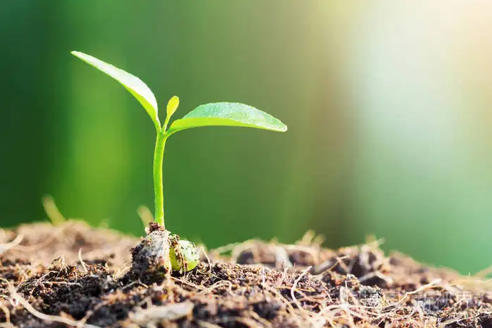 夏季养生小知识祛湿动漫版